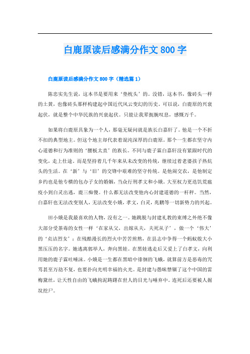 白鹿原读后感满分作文800字