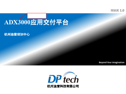 DPtech ADX3000应用交付平台(培训文档)