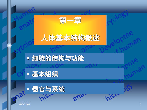 人体基本构成(精品课件)