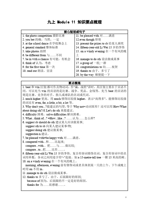 外研版九年级上 Module 11 知识要点梳理