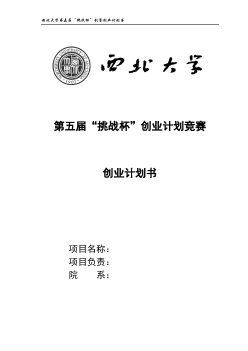 西北大学第五届挑战杯创赛复赛作品模板