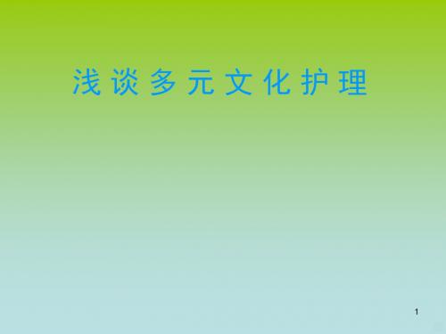 浅谈多元文化护理ppt课件