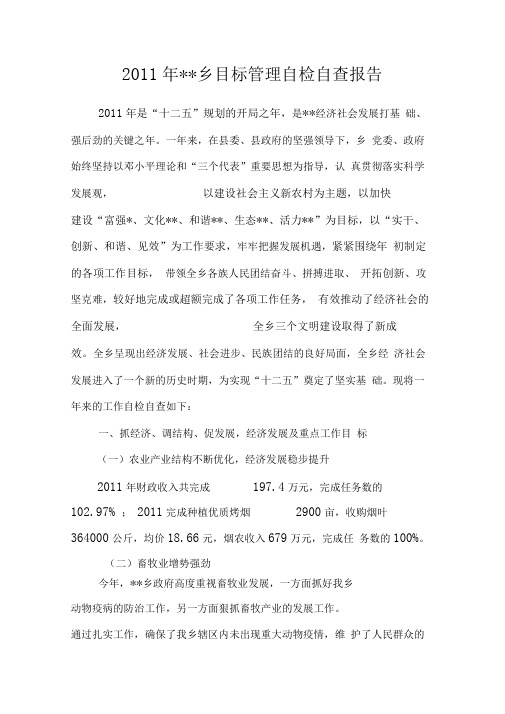 乡目标管理自检自查报告doc
