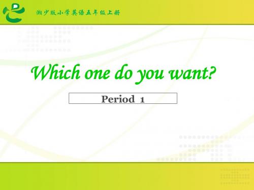 五年级上册英语课件-Unit6 Which one do you want 第一课时 湘少版(三起) (共17张PPT)