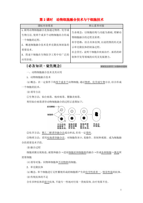 新教材高中生物第2章细胞工程 动物细胞融合技术与干细胞技术教师用书苏教版选择性必修3