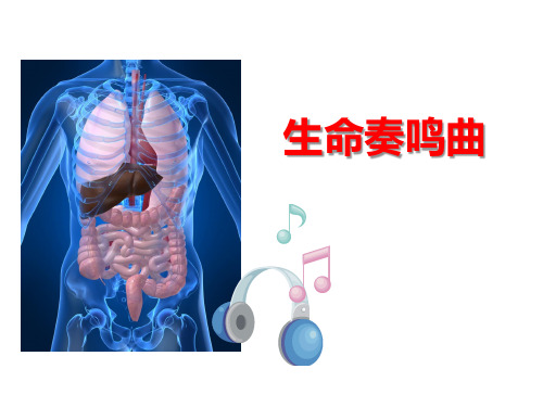 生命奏鸣曲课件