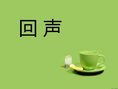 《回声》音乐PPT课件(上课用)2