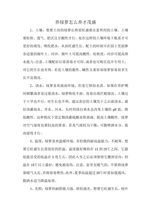 养绿萝怎么养才茂盛