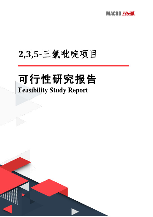 2,3,5-三氯吡啶项目可行性研究报告