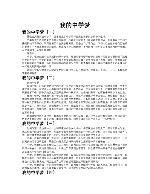 我的中学梦作文共九篇