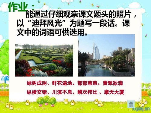 小作:迪拜风光