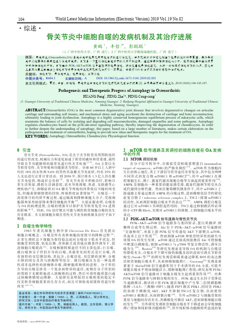 骨关节炎中细胞自噬的发病机制及其治疗进展