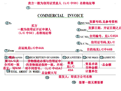 单证填写