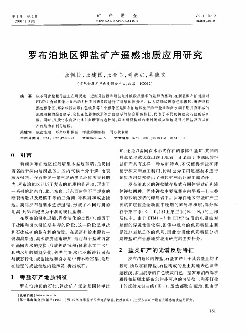 罗布泊地区钾盐矿产遥感地质应用研究