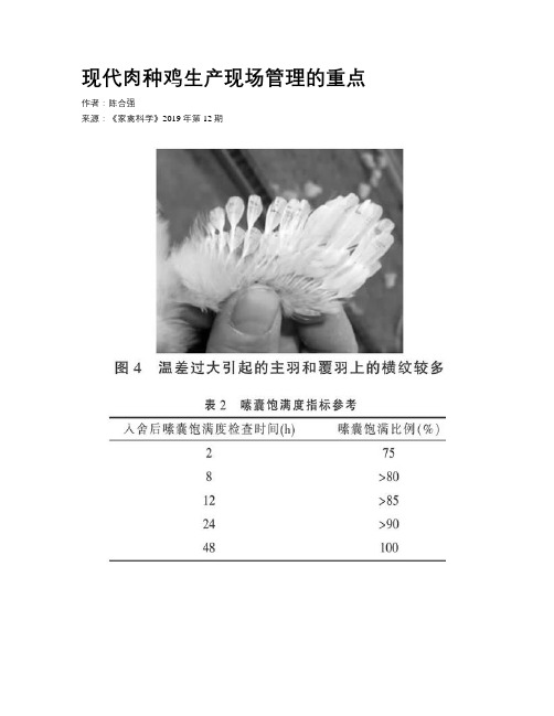 现代肉种鸡生产现场管理的重点