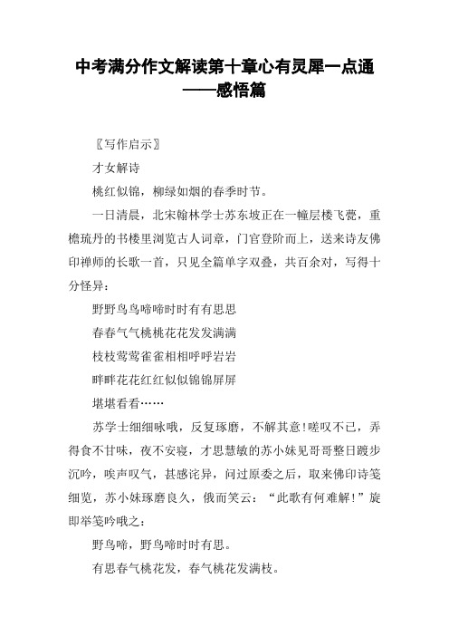 中考满分作文解读第十章心有灵犀一点通——感悟篇