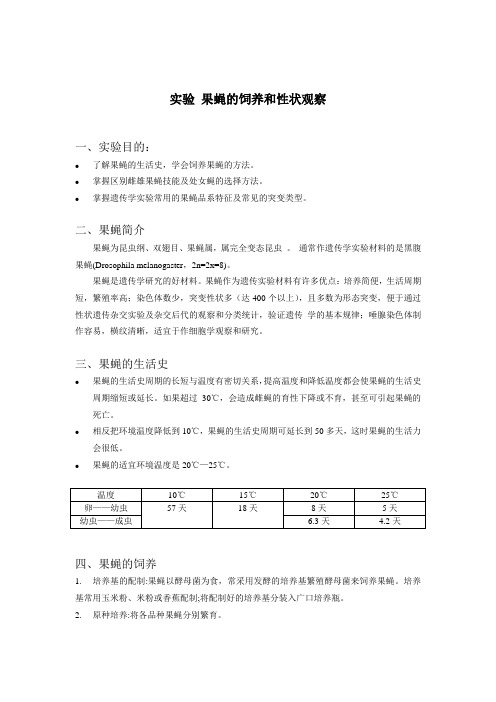 1、果蝇的饲养和性状观察