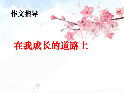作文在成长的道路上精品PPT课件