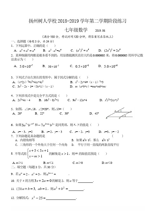 扬州树人学校2019年七年级数学5月月考试卷