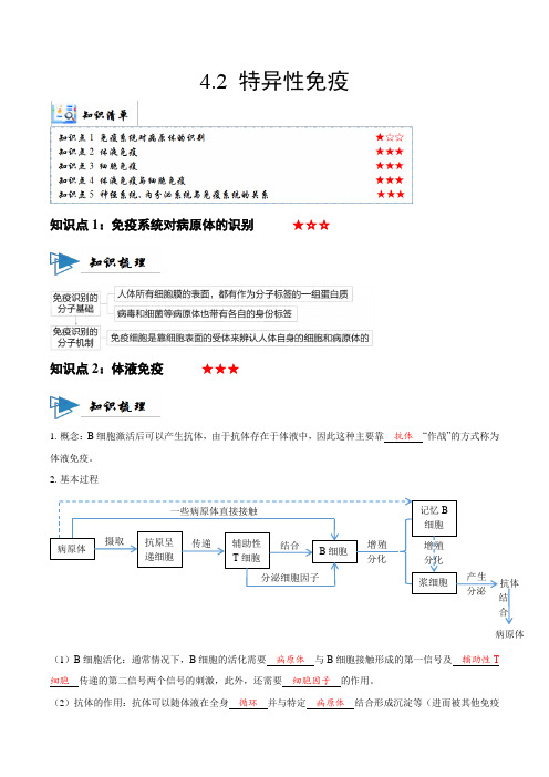 4.2特异性免疫(讲义)-2024-2025学年高二生物同步精讲系列(2019人教版选择性必修1)