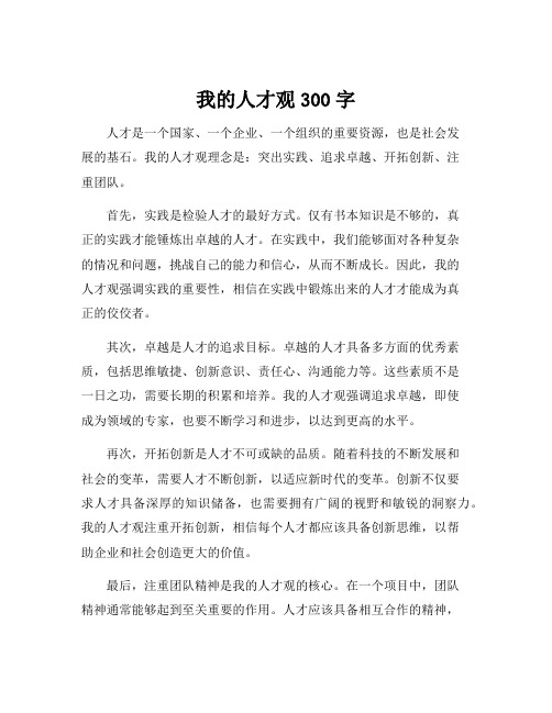 我的人才观300字