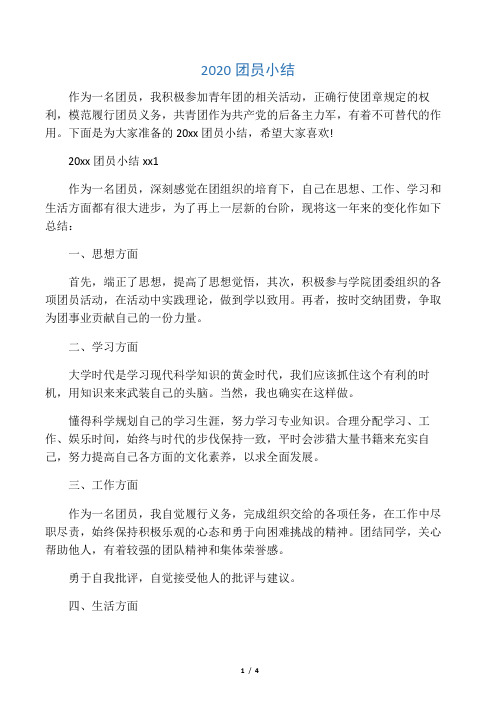 2020团员小结