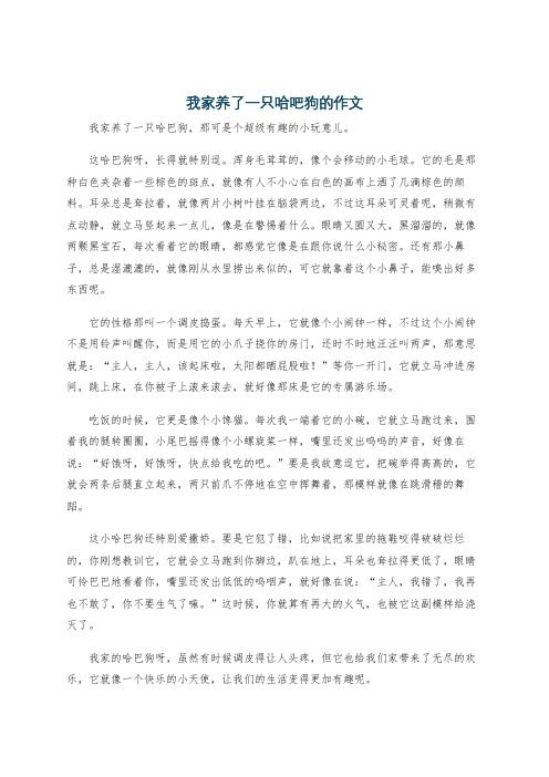 我家养了一只哈吧狗的作文