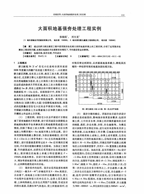 大面积地基强夯处理工程实例