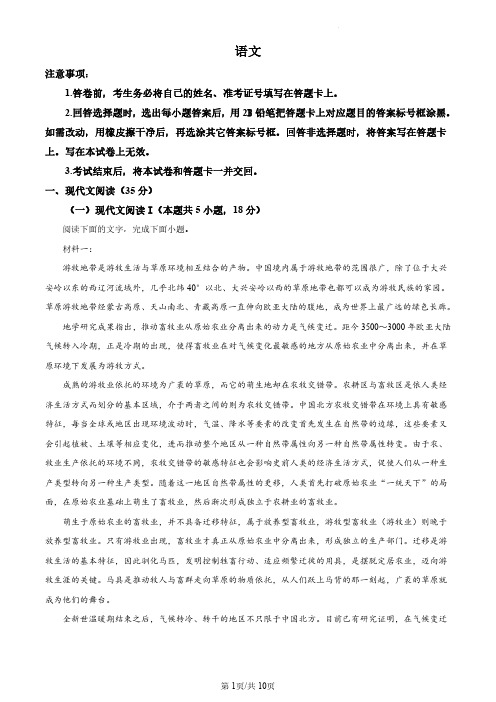 2024九省联考普通高考适应性测试(河南卷)语文试卷及答案