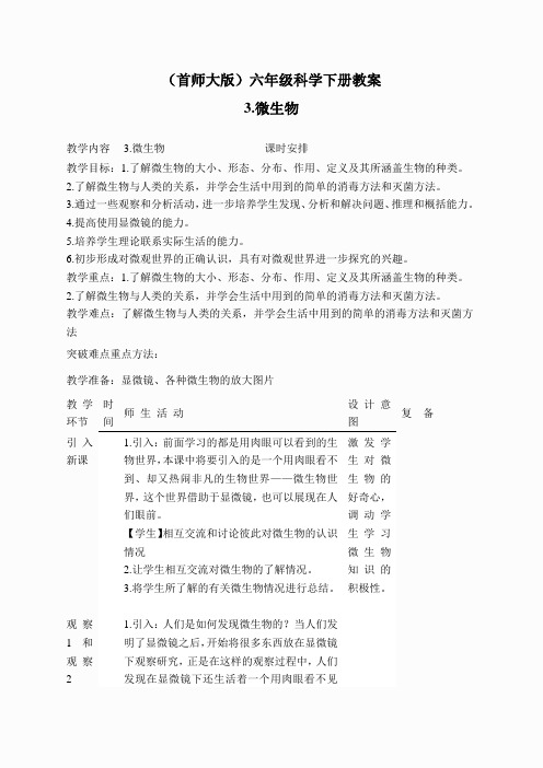 首师大小学科学六下《3.微生物》word教案(2)