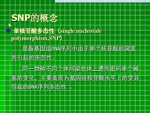 单核苷酸多态性及其应用45页