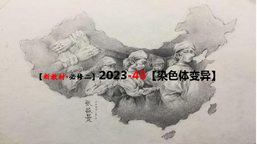 精讲45染色体变异-【过一轮】备战2023年高考生物一轮复习名师精讲课件