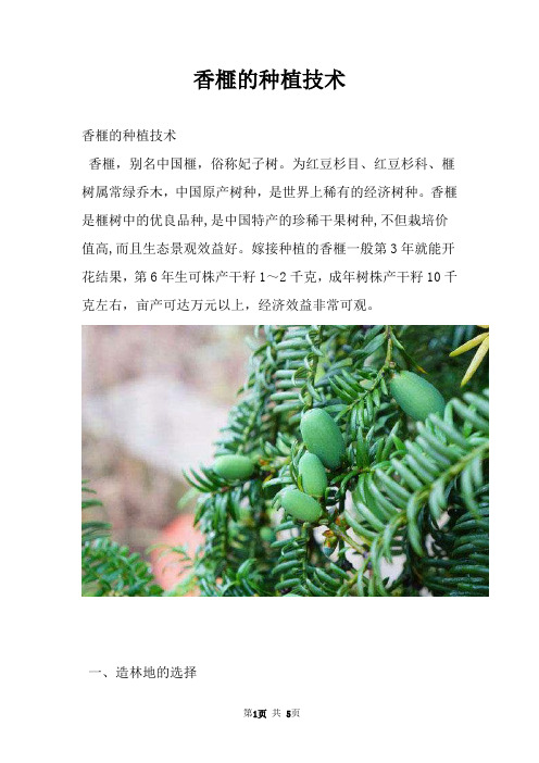 香榧的种植技术