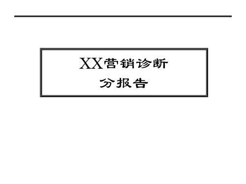 大型企业集团营销诊断报告