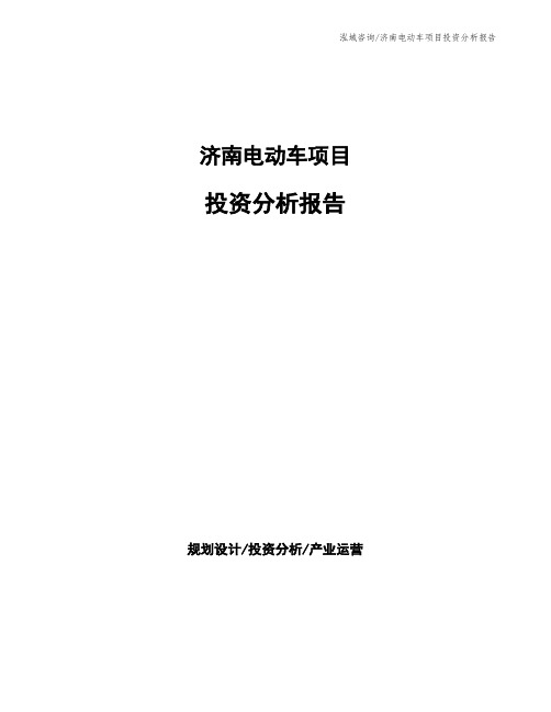 济南电动车项目投资分析报告