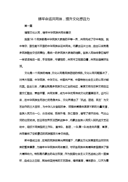 铸牢命运共同体,提升文化感召力