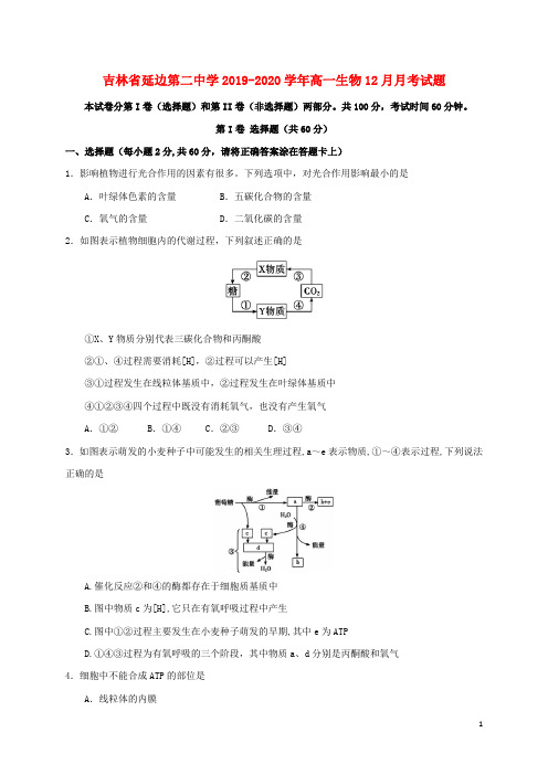 吉林省延边第二中学2019_2020学年高一生物12月月考试题