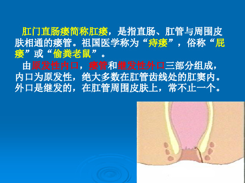 肛管直肠瘘PPT课件