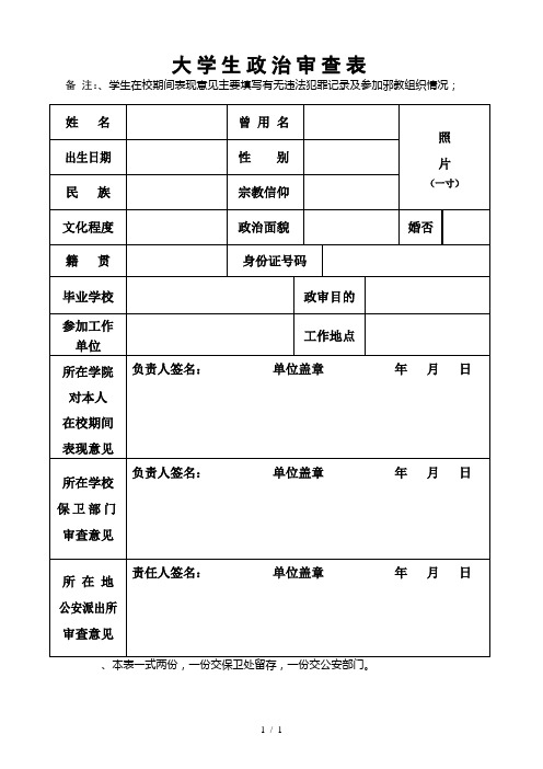 大学生政治审查表