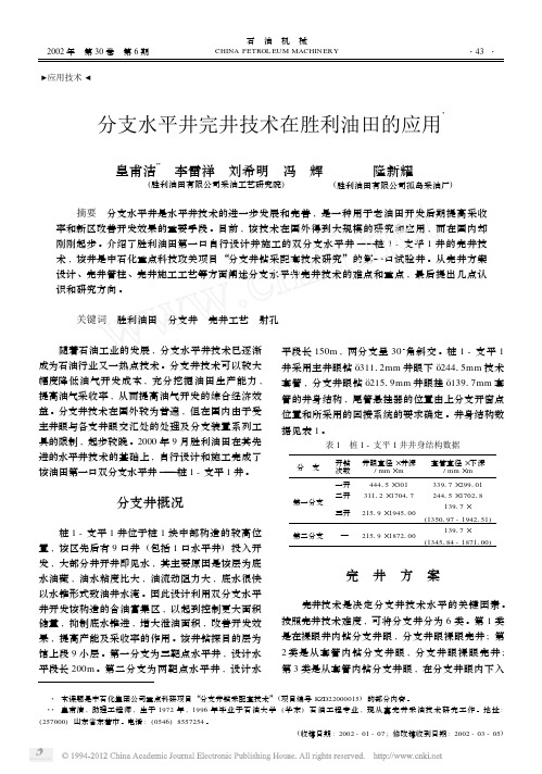 分支水平井完井技术在胜利油田的应用