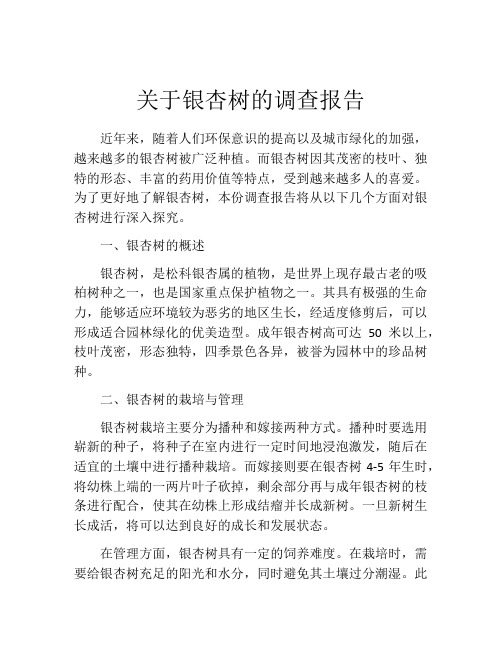 关于银杏树的调查报告