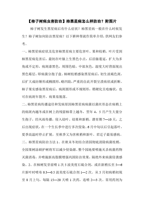 【柿子树病虫害防治】柿黑星病怎么样防治?附图片
