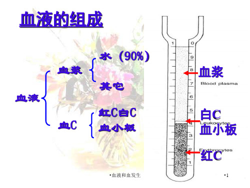 血液和血发生课件