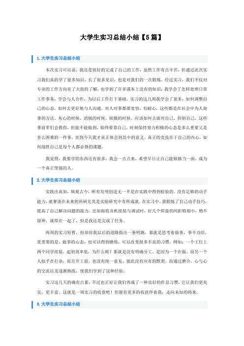 大学生实习总结小结5篇