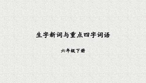 生字新词与重点四字词语