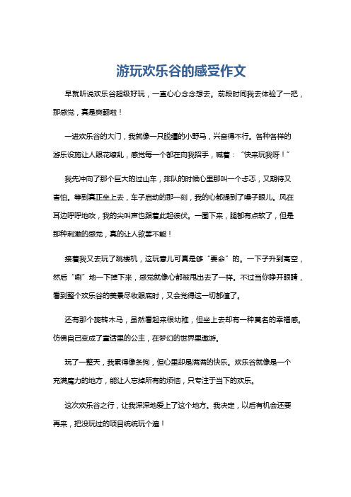 游玩欢乐谷的感受作文