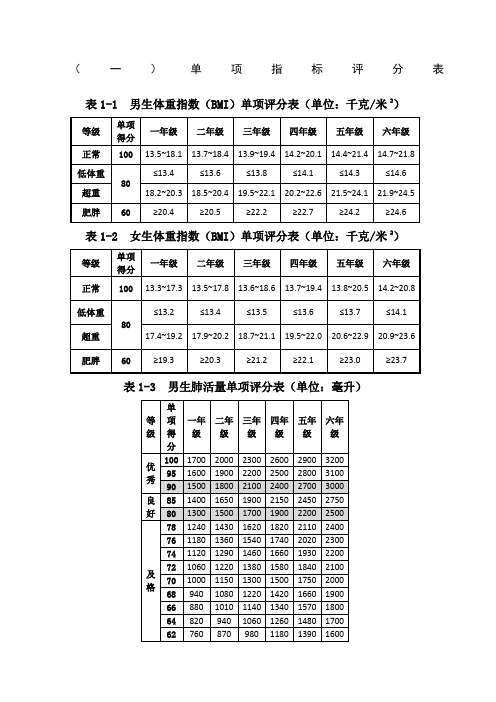 小学体质健康测试标准