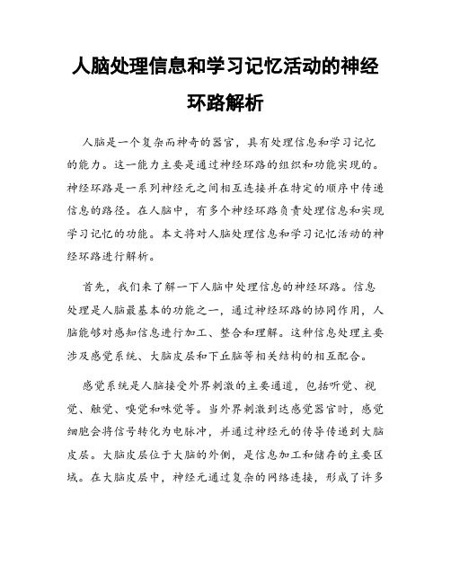 人脑处理信息和学习记忆活动的神经环路解析