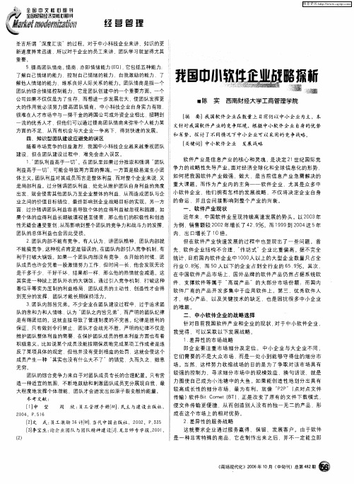 我国中小软件企业战略探析