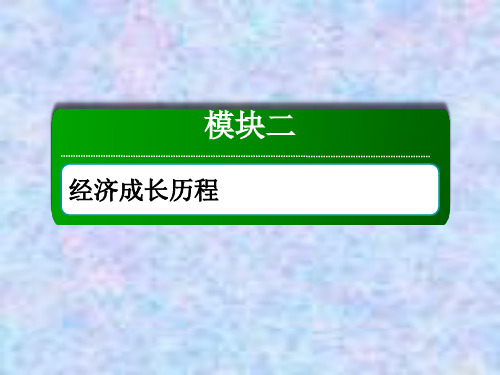 2021高考历史一轮复习人民版课件：专题总结10 各国经济体制的创新和调整